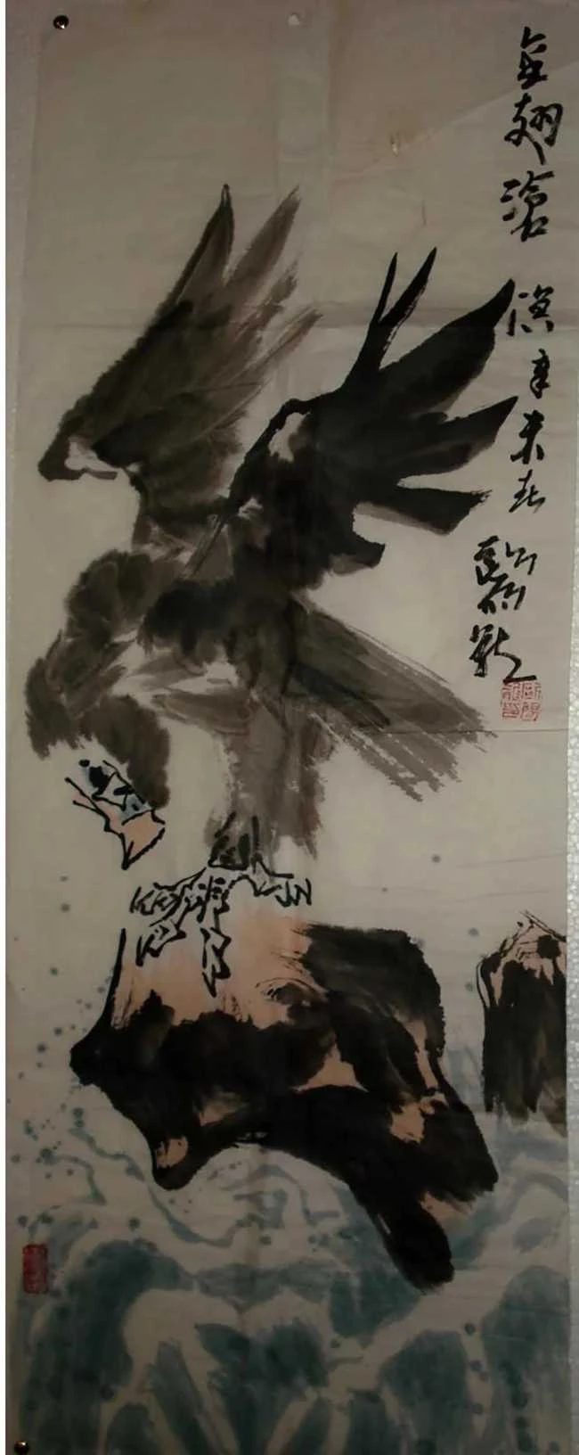 鹰